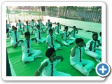 YOGA DAY (5)